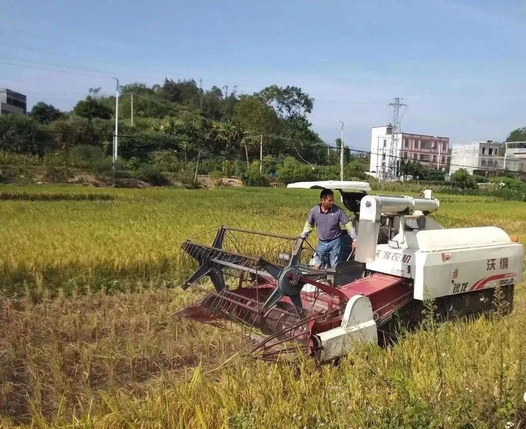 关于红旗杂志农业机械化	的信息