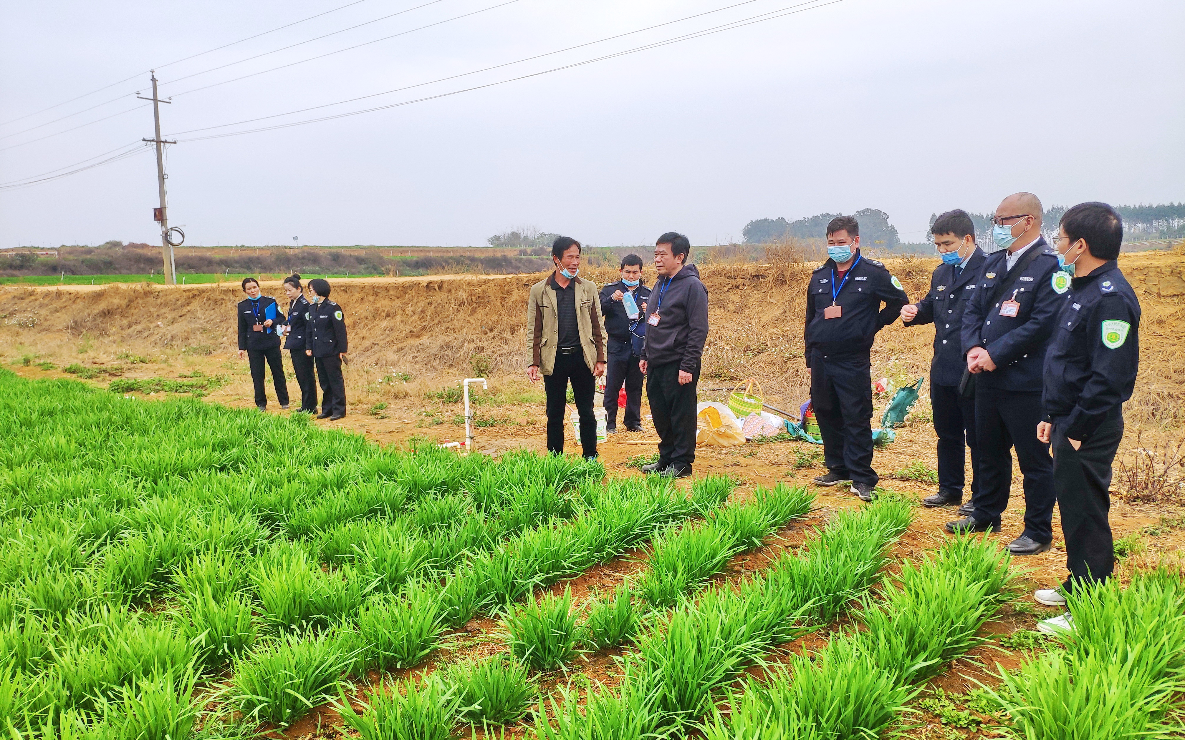 农业机械化执法检查汇报	(农业机械化执法检查汇报材料范文)