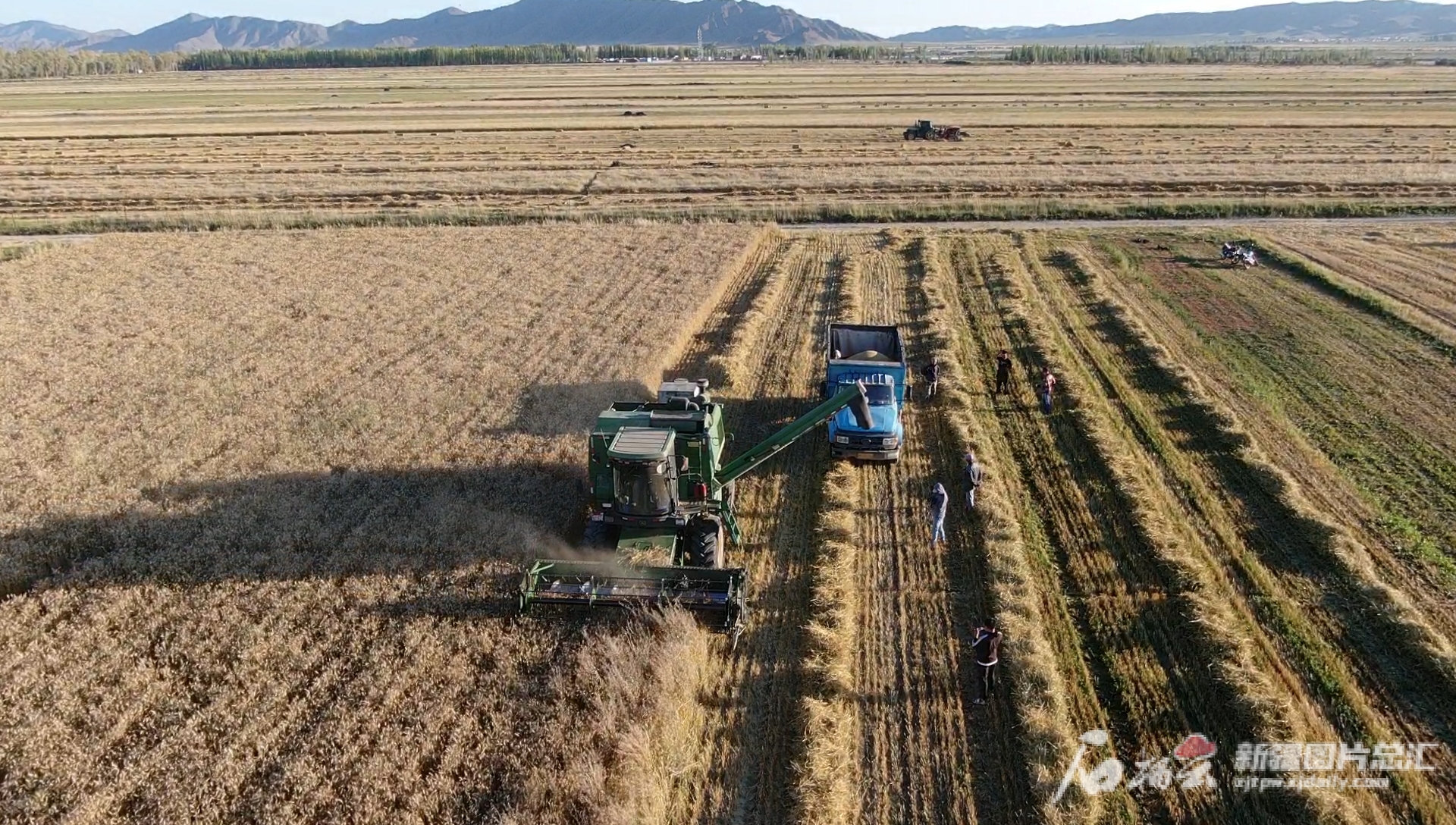 新疆农业机械化的视频资料	的简单介绍