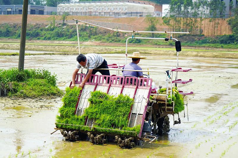 南宁市五塘镇农业机械厂	(南宁市五塘镇农业机械厂电话)