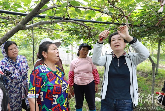 麻阳苗族自治县农业机械公司	(麻阳苗族自治县农业发展有限责任公司)