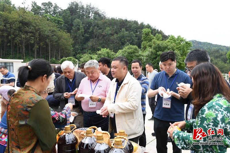 麻阳苗族自治县农业机械公司	(麻阳苗族自治县农业发展有限责任公司)