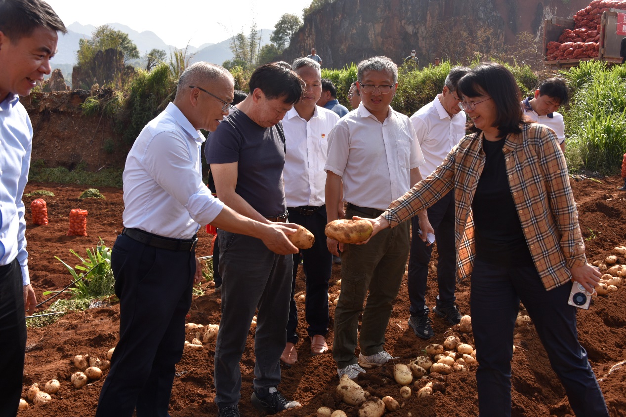 澜沧县农业机械公司地址	(澜沧县农业机械公司地址查询)