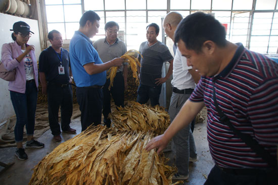 大理州农业机械管理站	(大理州农业机械管理站地址)