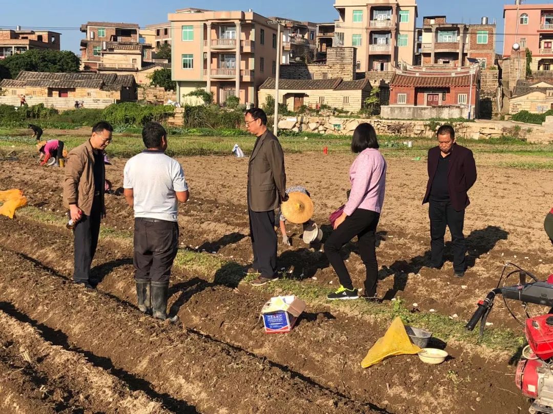 南安市农业机械管理站	(南安市农业机械管理站 店面网址招标)