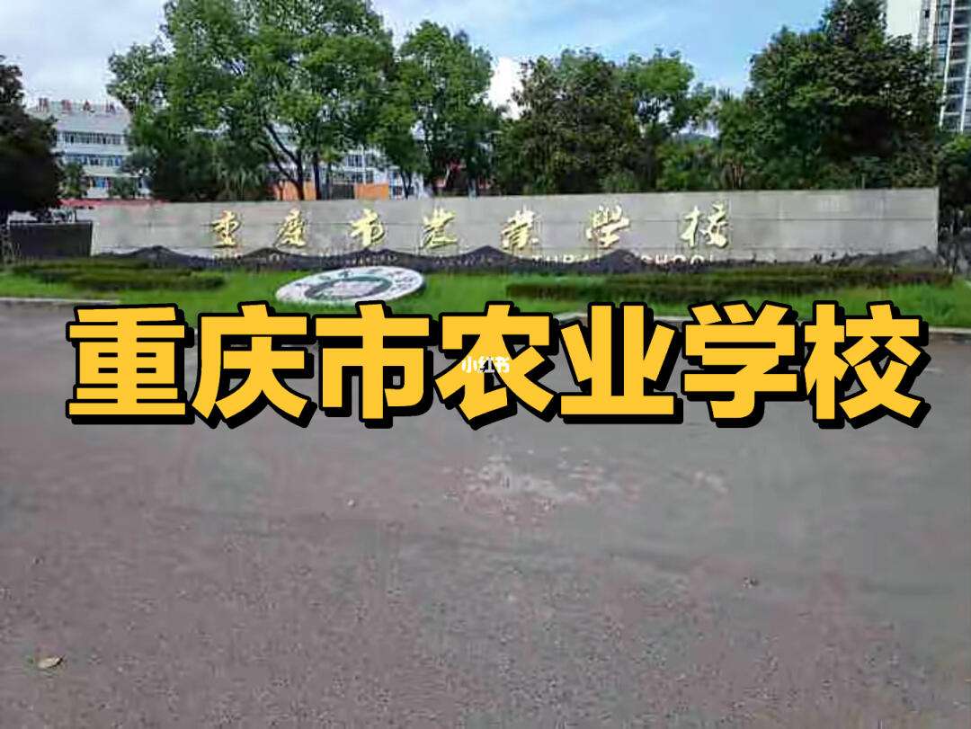 重庆市农业机械学校宿舍	(重庆农业机械学校感受了什么)