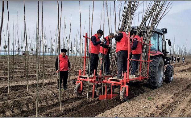 促进农业机械化的政策措施	(关于促进农业机械化和农机工业又好又快发展的意见)