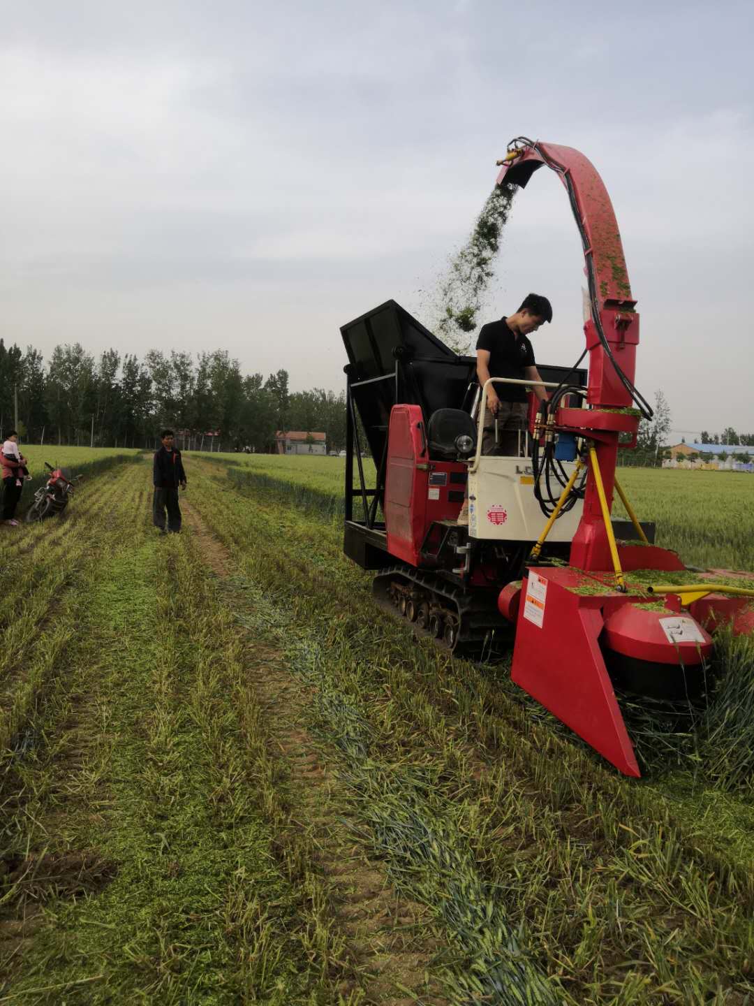 湖北兴茂农业机械有限公司	(湖北兴茂农业机械有限公司招聘)