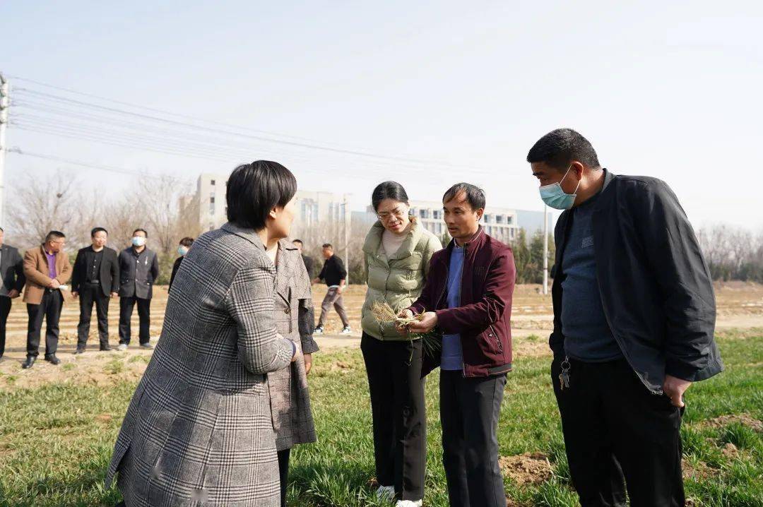 农业机械助理工程师服务基层情况	(农业机械助理工程师服务基层情况介绍)