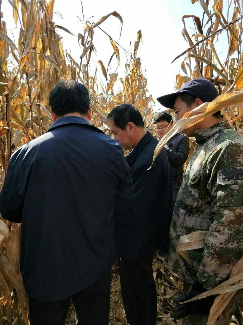 沁源县农业机械中心新闻	(沁源县农业机械中心新闻报道)