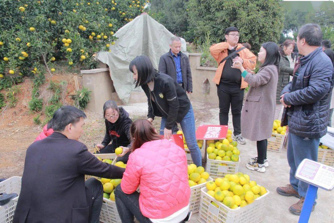 关于建阳区农业机械化发展中心	的信息