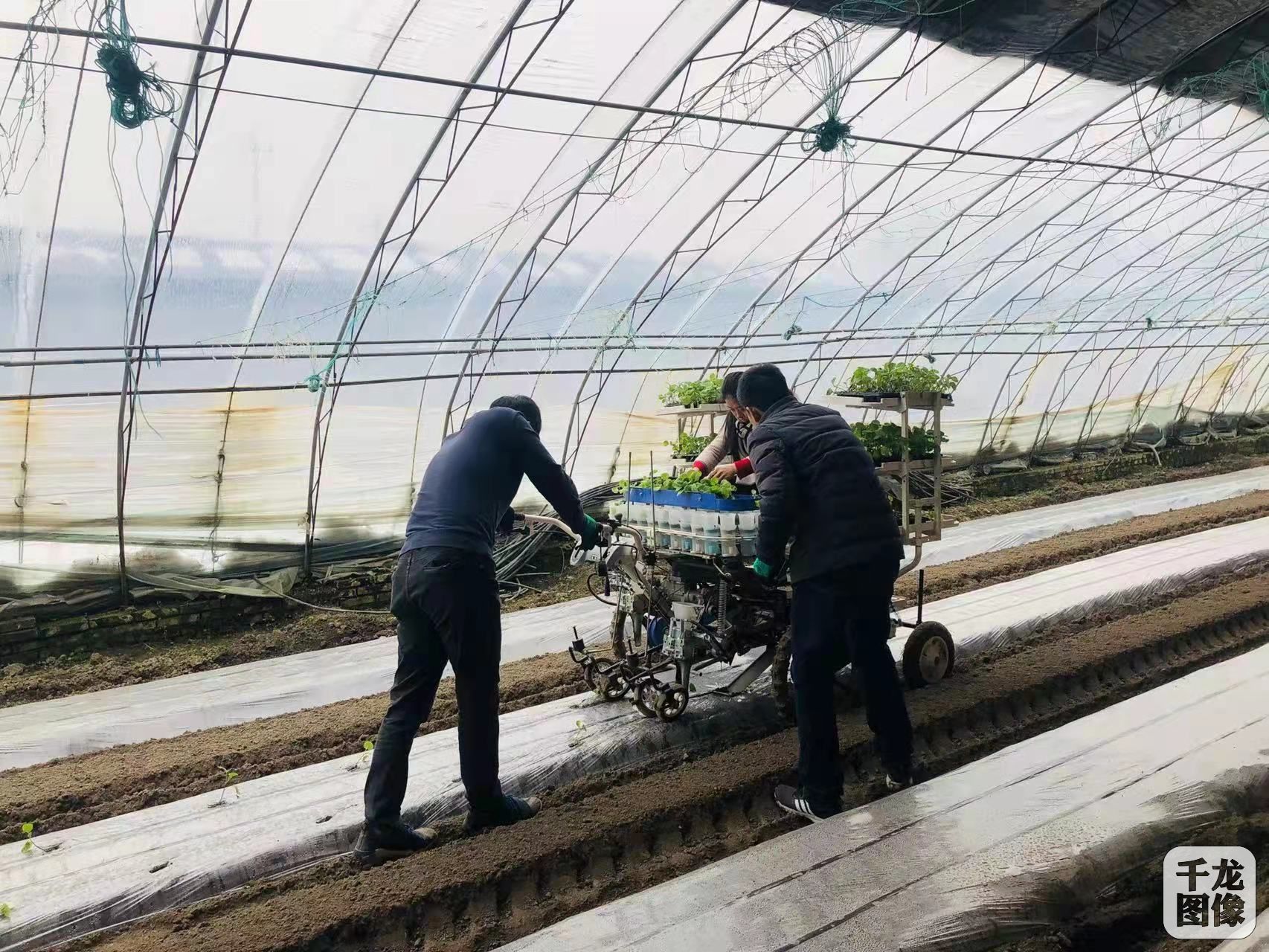 馆陶农业机械管理办公室	(馆陶农业机械管理办公室地址)