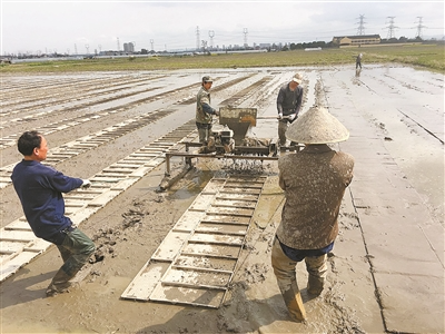 耕耘大地中国农业机械化	的简单介绍